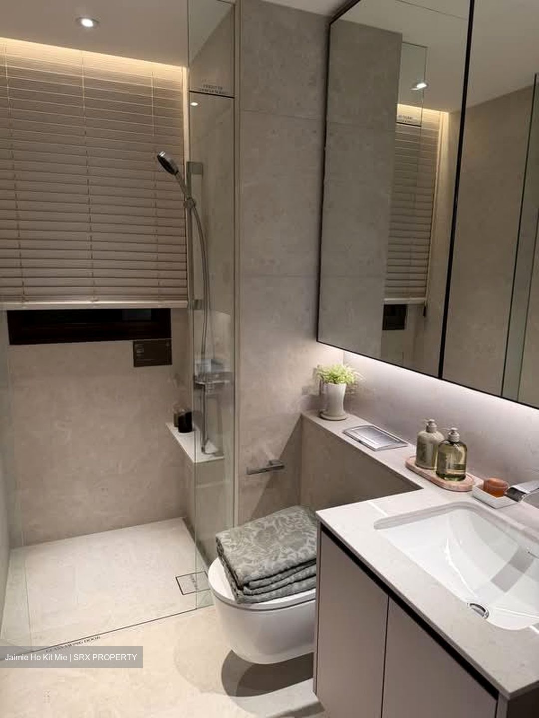 Dunearn Road (D11), Condominium #590785641